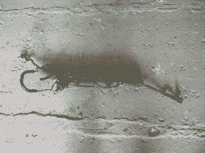 DSCF1880.JPG